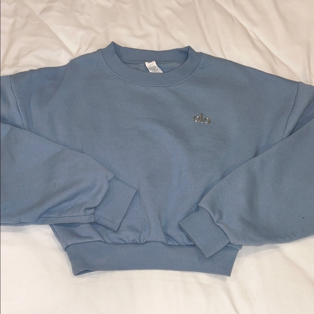 ALO Cropped Sweatshirt (Sz Small)